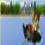 G�lde kay